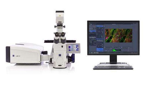 山东大学齐鲁医学院双光子激光共聚焦显微镜系统采购项目中标公告